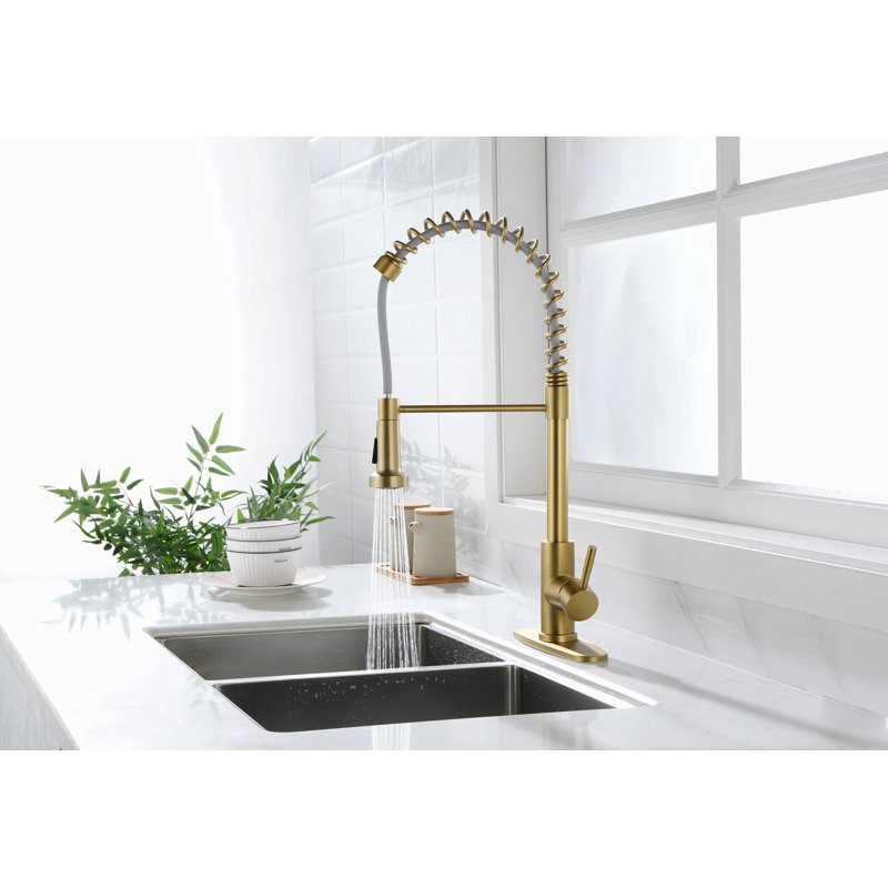 Kitchen Faucet With Pull Out Spraye