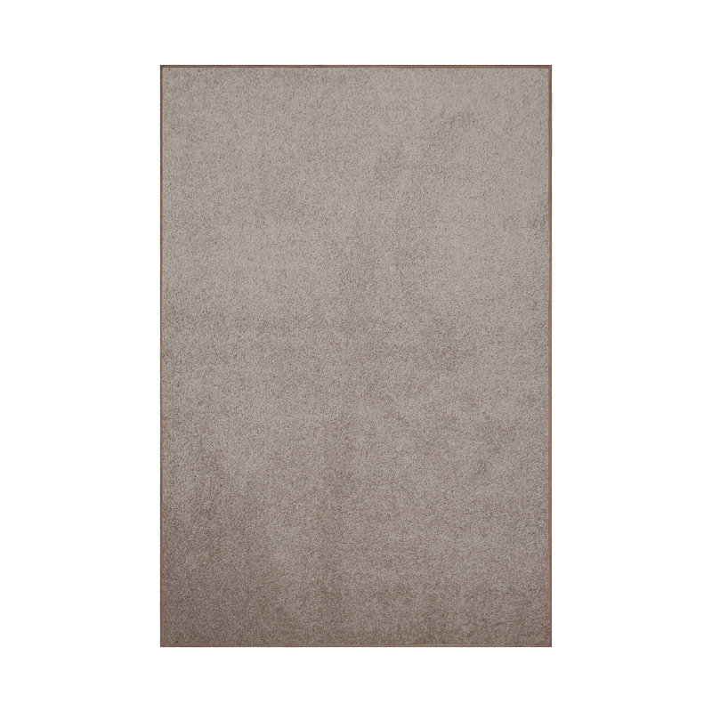 Modern Plush Pet and Kids Friendly Solid Color Beige Area Rugs, Stain & Fade Resistance, Perfect for Living Room, Dining Room, Bedroom, Playroom and Kidsroom, Event, Wedding, Southwest Rug