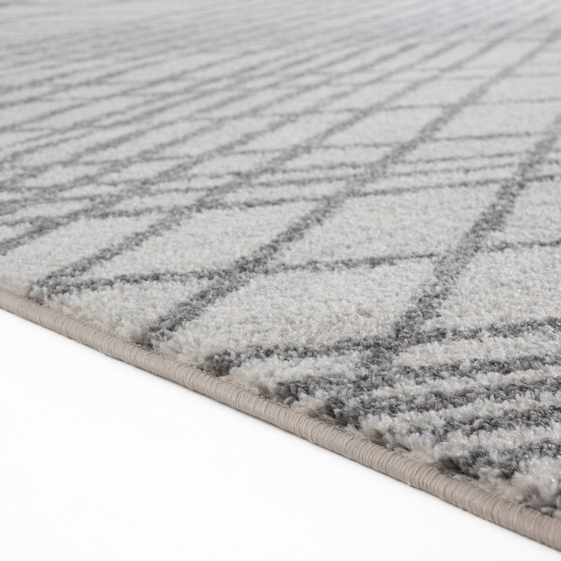 Drubin Abstract Indoor Rug, Rectangle 8' x 10'