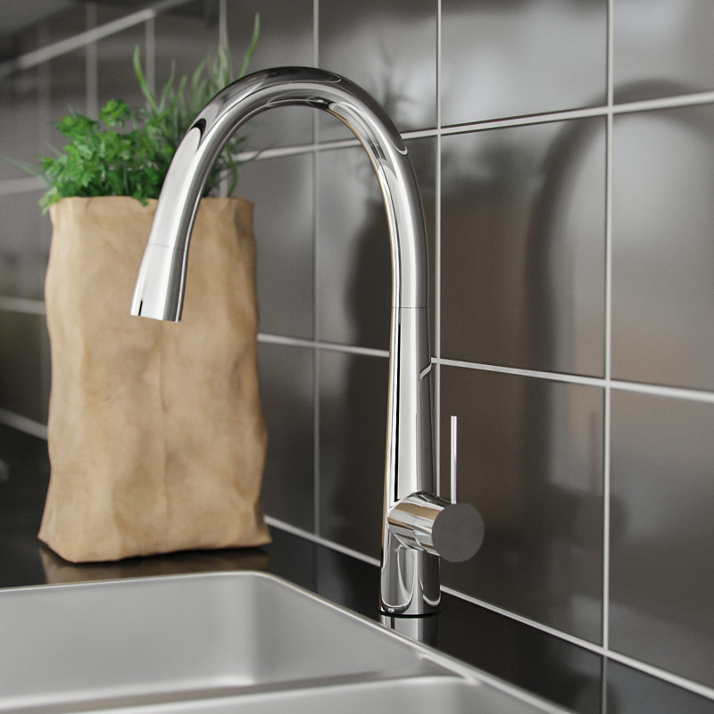 Belfry Kitchen Jaliyah Kitchen Faucet