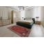 Oriental Indoor Rug-4516203
