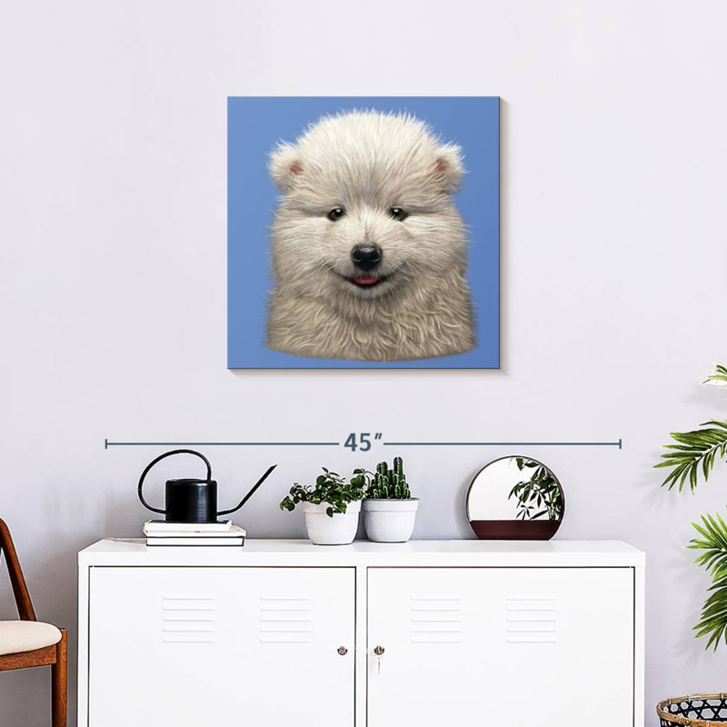 Brampt Samoyed Puppy, 24" H x 24" W