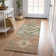 Machine Washable Indoor/Outdoor Chayden ACN1036 Rug