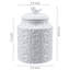 3549 ml White Decorative Kitchen Canisters & Storage Jars with Lid