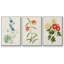 Fleurs des saisons I, reproduction encadrée sur toile 3 pièces-91891068-91891069