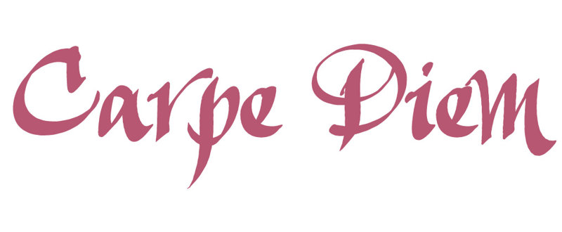 Décalcomanie murale indemnités journalières carpe diem, H 9,5 po x l 36 po x P 0,01 po, Rouge à lèvres