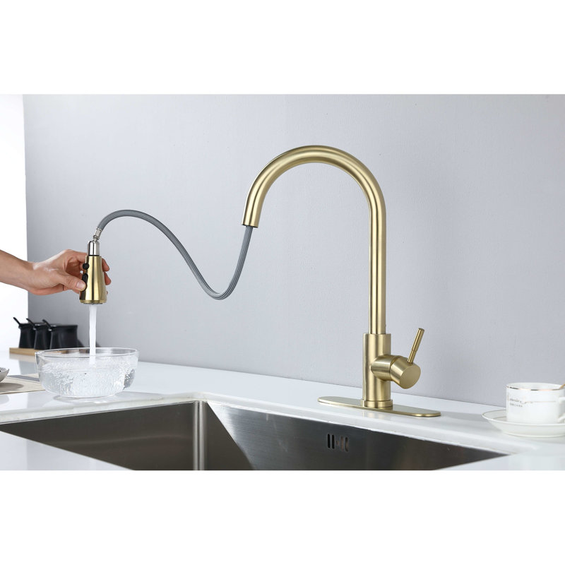 Robinet de cuisine avec douchette rétractable, aspect doré brossé, acier inoxydable, buse rotative à 360 °, style de résistance à la corrosion et à la rouille, capacité