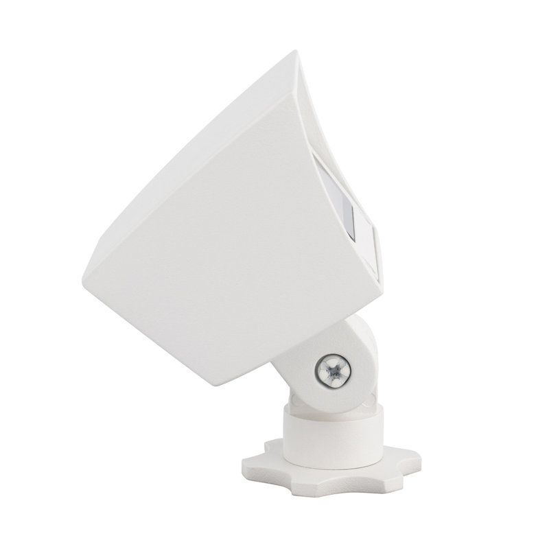 LED Flood Light