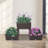 Raised Garden Bed Elevated Planter