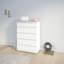 Tanesha 5 - Drawer Chest of Drawers-389489582