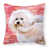 Bichon Frise 2
