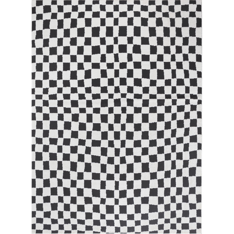Blannie Chequered Machine Tufted Area Rug, Rectangle 120 x 170 cm