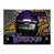 Minnesota Vikings