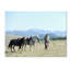 « montana cheval rancher », reproduction de photo sur toile tendue-14807201