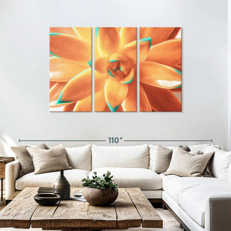 Plante grasse orange Harnek, H 48 po x l 74 po