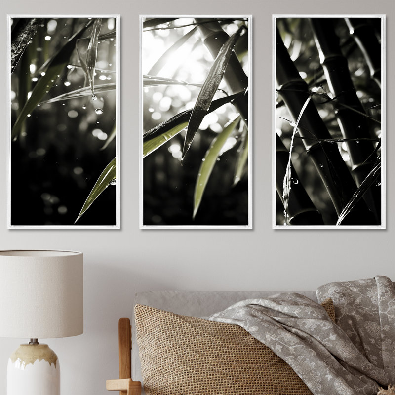 Ensemble de photos murales en bambou noir et blanc, Cadre flottant blanc, H 28 po x l 36 po x P 1 po
