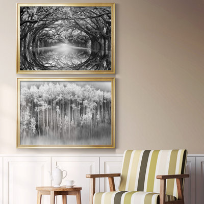 " Oak Alley Reflection " 2 - Pieces