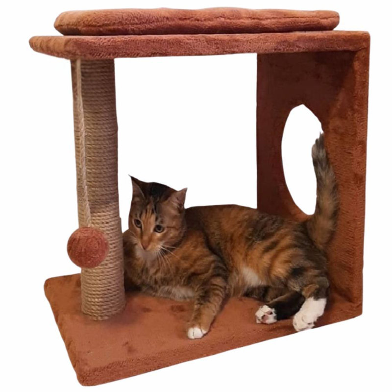 Grattoir pour chat