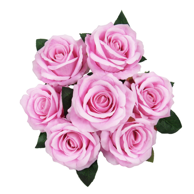 Velours rosier, Rose
