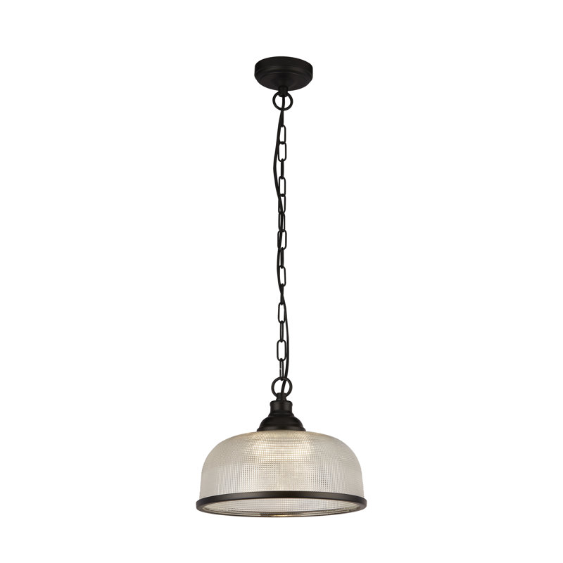 Asner 1 - Light Dome Pendant, Matt Black