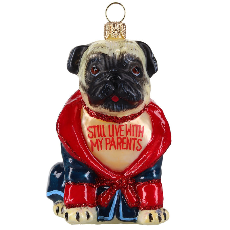 Pug Fawn in Bath Robe "Still Live with Parents"