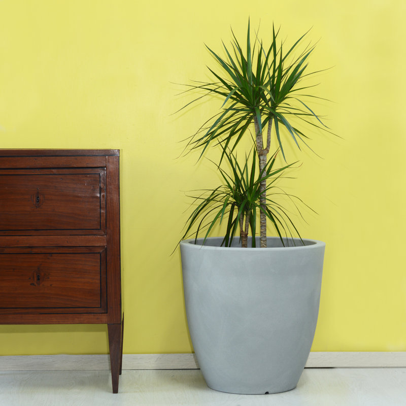 Grezzju Planter, 50cm H x 50cm W x 50cm D, Aged Stone
