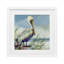 «Coastal Pelican Perch», reproduction sous verre encadrée, conception de Susan Winget-1864970876-1864970877