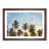 Walnut Framed