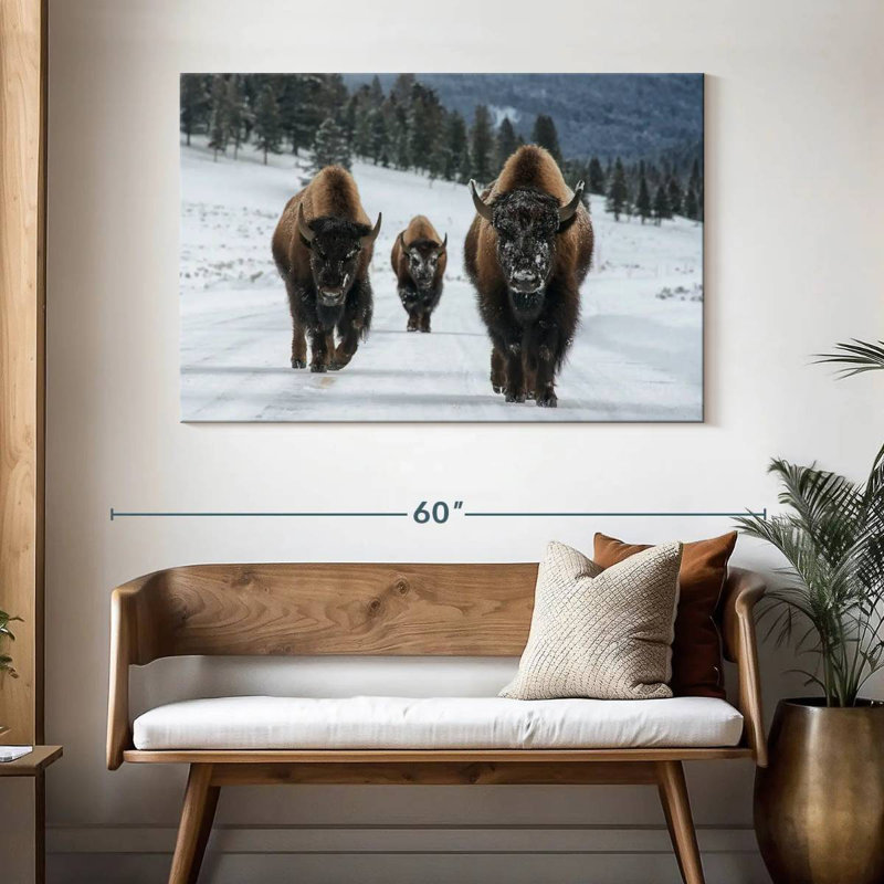 Photographie d'un bison de Brampt à Yellowstone, H 32 po x l 48 po