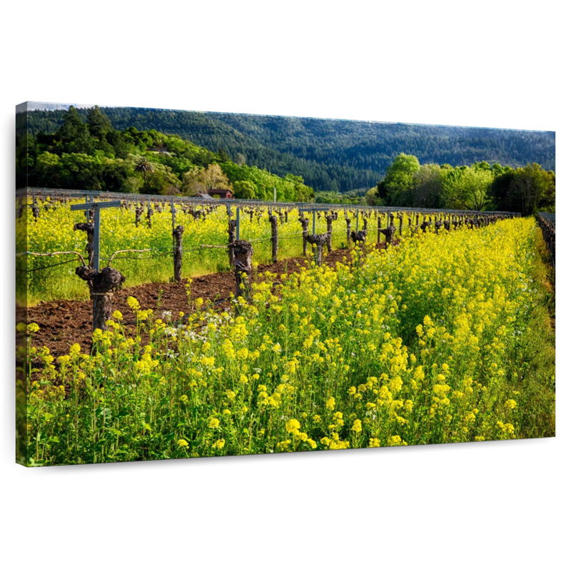 Moutarde jaune et vignes Alvord, H 30 po x l 45 po