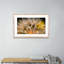 « float away » par geoffrey baris-cadre photo, impression sur papier-48617805-48617808