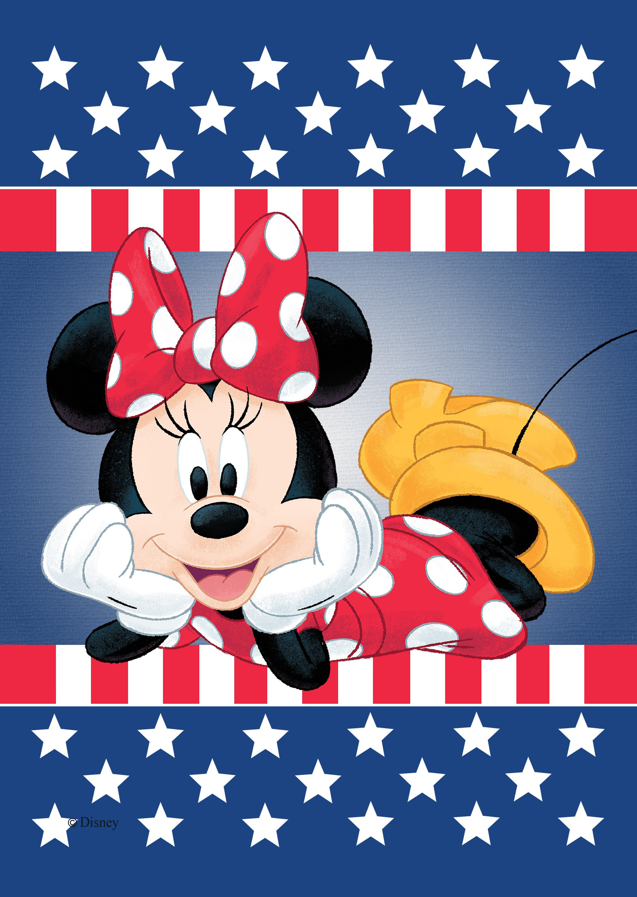https://assets.wfcdn.com/im/79928403/compr-r85/2344/234406884/disney-minnie-mouse-patriotic-garden-flag-12-x-18.jpg