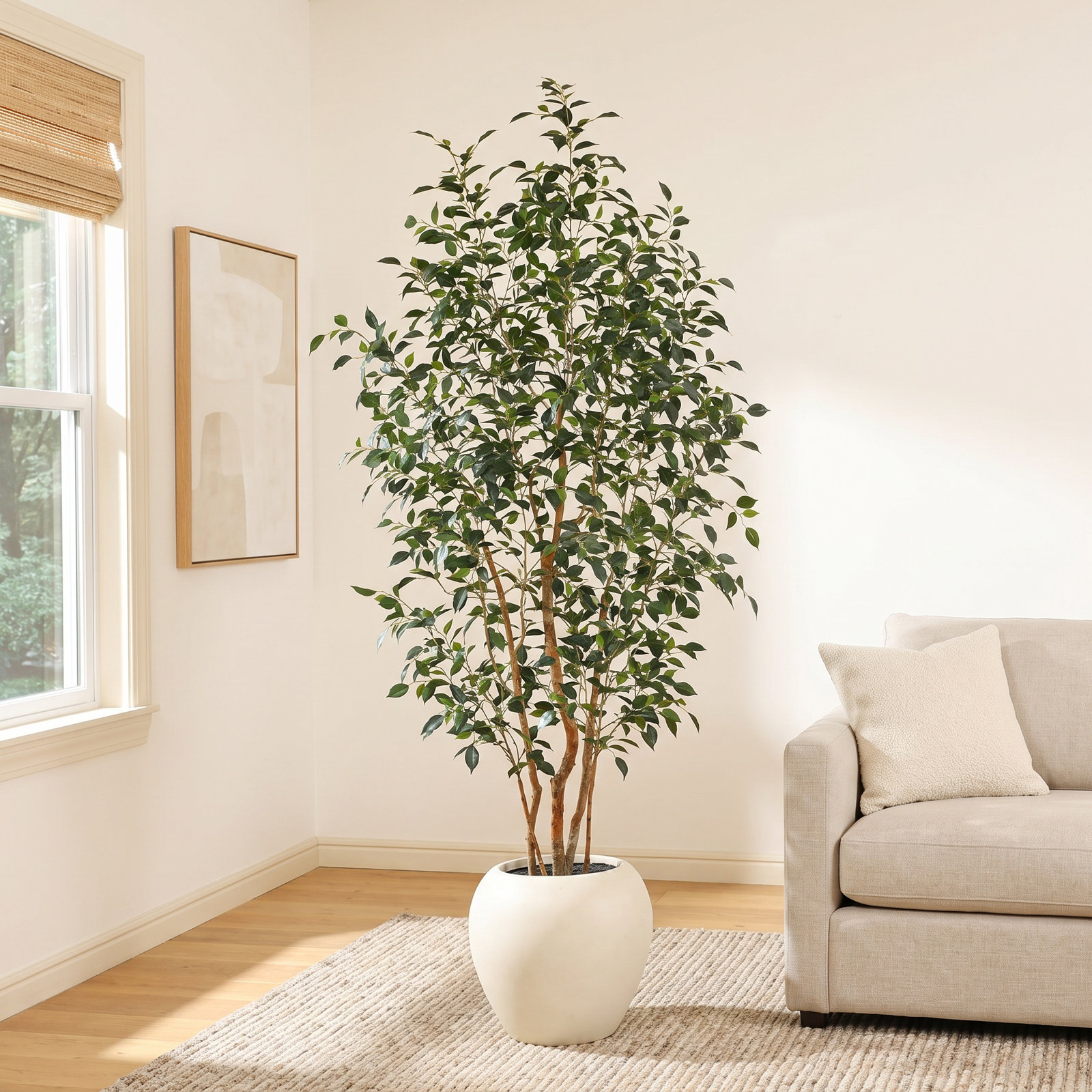 Adcock 96" Ficus Tree in Planter