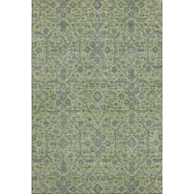 Premium Machine Washable Ducote AMF1131 Global Rug