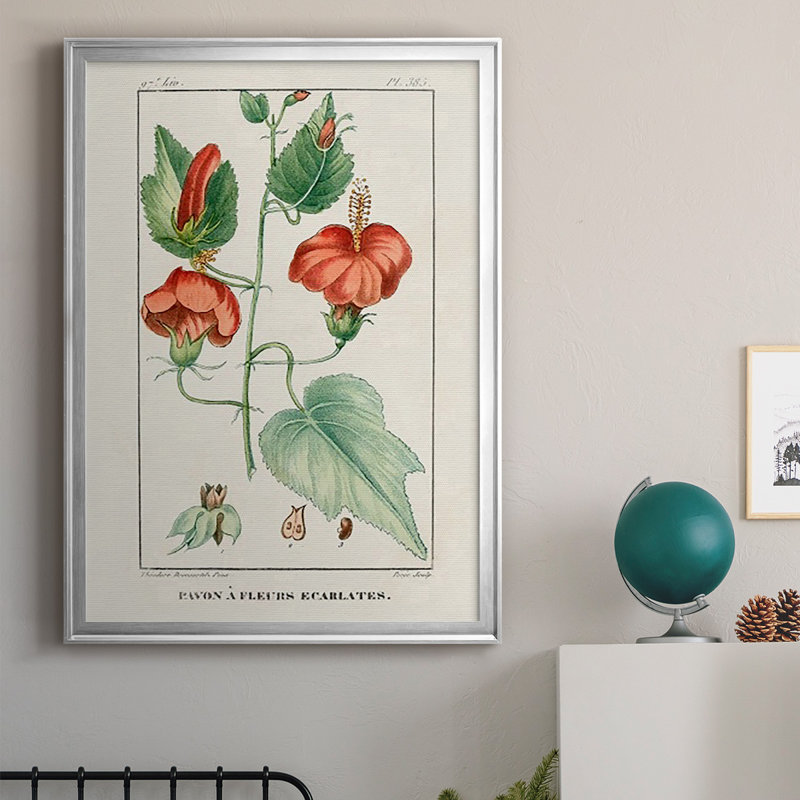 Turpin Tropical Botanicals IV - Reproduction d'art sur papier encadrée, H 42,5 po x l 30,5 po x P 1 po, Argent