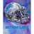 NFL Detroit Lions