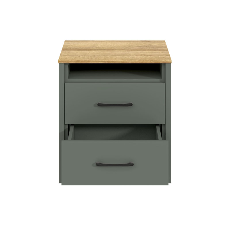 Chabot Modern 2-Drawer Nightstand Set Of 2, Kale Green/Reviera Eichi