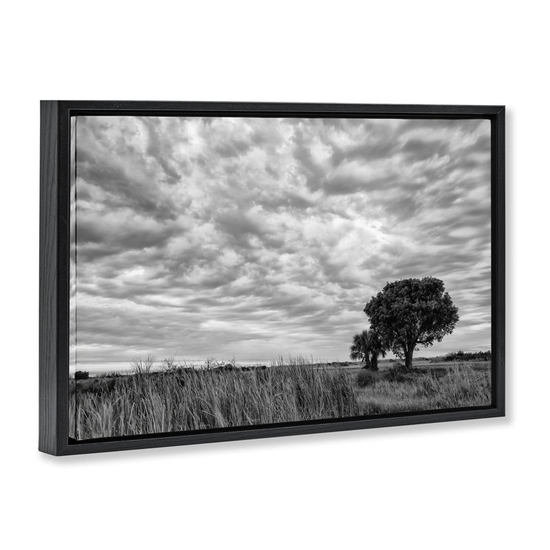 Cadre flottant The Right Tree Cloudscape, design par Jon Evan, Cadre flottant noir de jais, H 17 po x l 25 po