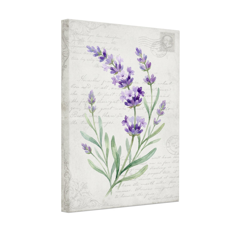 Plantes et fleurs fleurs de lavande sur fond de lettre rétro, H 30 po x l 20 po