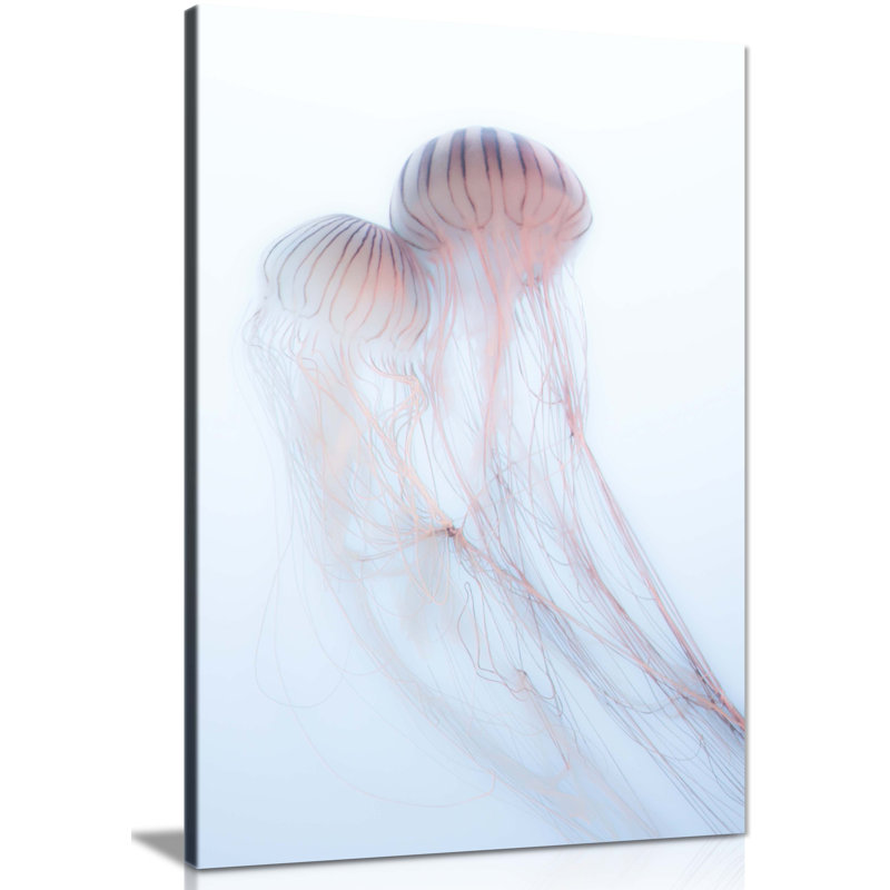 Panther Print Fine Art Prints Pink Jellyfish Underwater Artistic Framed Canvas Prints, Pictures For Home Walls, Bedroom, Living Room & Bathroom Decor - Wrapped Canvas Art Prints