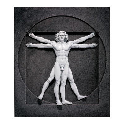 Vitruvian Man Wall Sculpture