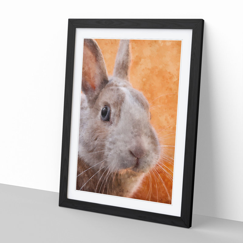 Bunny Rabbit in Colour - Picture Frame Graphic Art, 36cm H x 27cm W x 2cm D, Black Framed