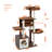 Cool Luxury Tunnel Modern Cat Tree-7966148