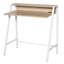 Steel Writing Desk-1294494324