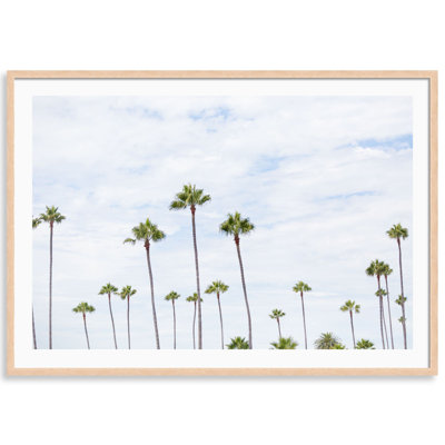 Montecito Palms Print by Carly Tabak