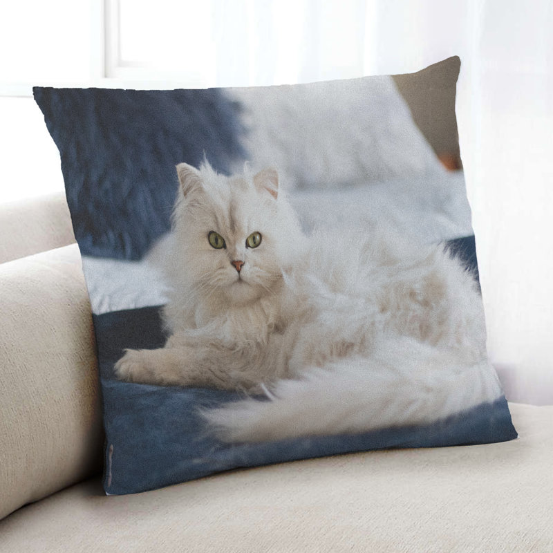 Throw Pillow, Microsuede
