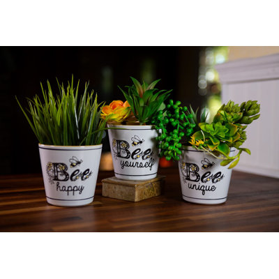 CAMMY BEE PLANTERS 4", 3 ASST
