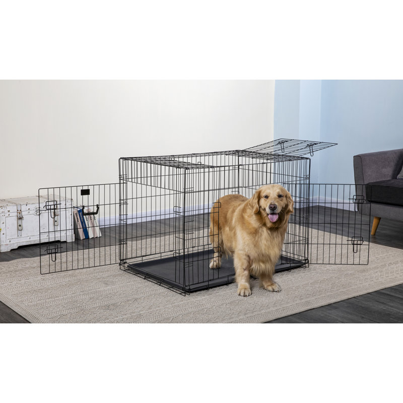 Metal Collapsible Pet Crate with 3 Doors, Large (30" H x 28" W x 42" D)