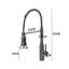 Belfry Kitchen Kitchen Faucet-1461057605