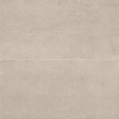 Thaddeus 24" x 48" Matte Porcelain Wall & Floor Tile